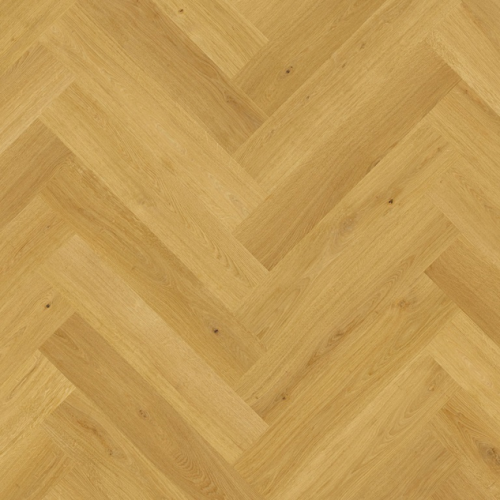 IMD8247.png