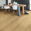 IM1855_Interior01-B2B Square XL.jpg