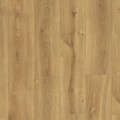 MJ3551_Topshot-B2B Square XL.jpg